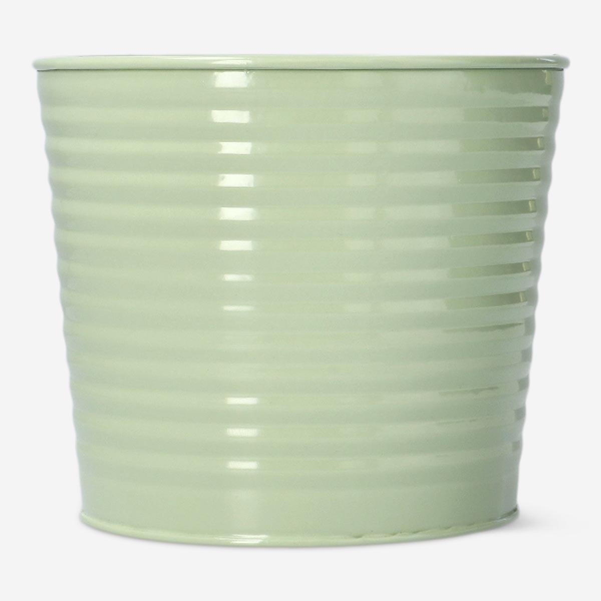 Green plant pot. large