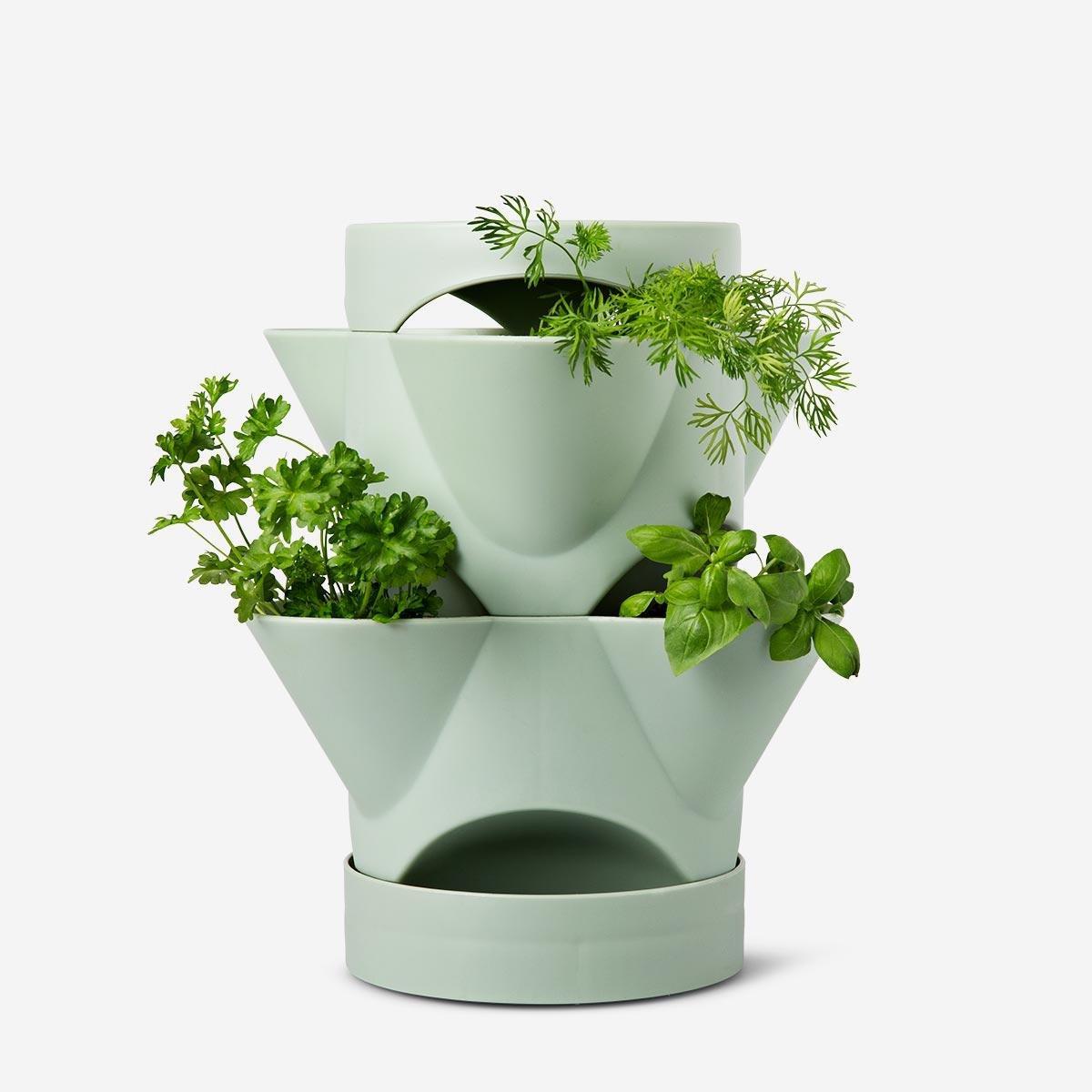 Greeen plant tower