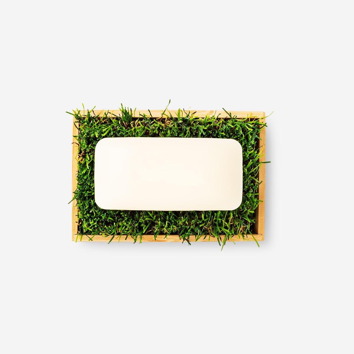 Beige soap dish
