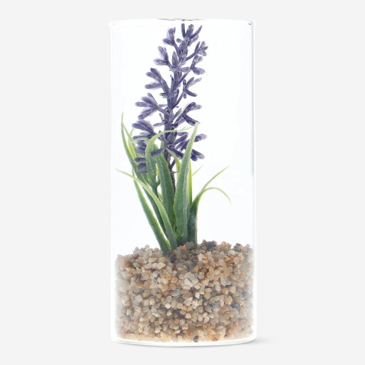 Purple decorative terrarium