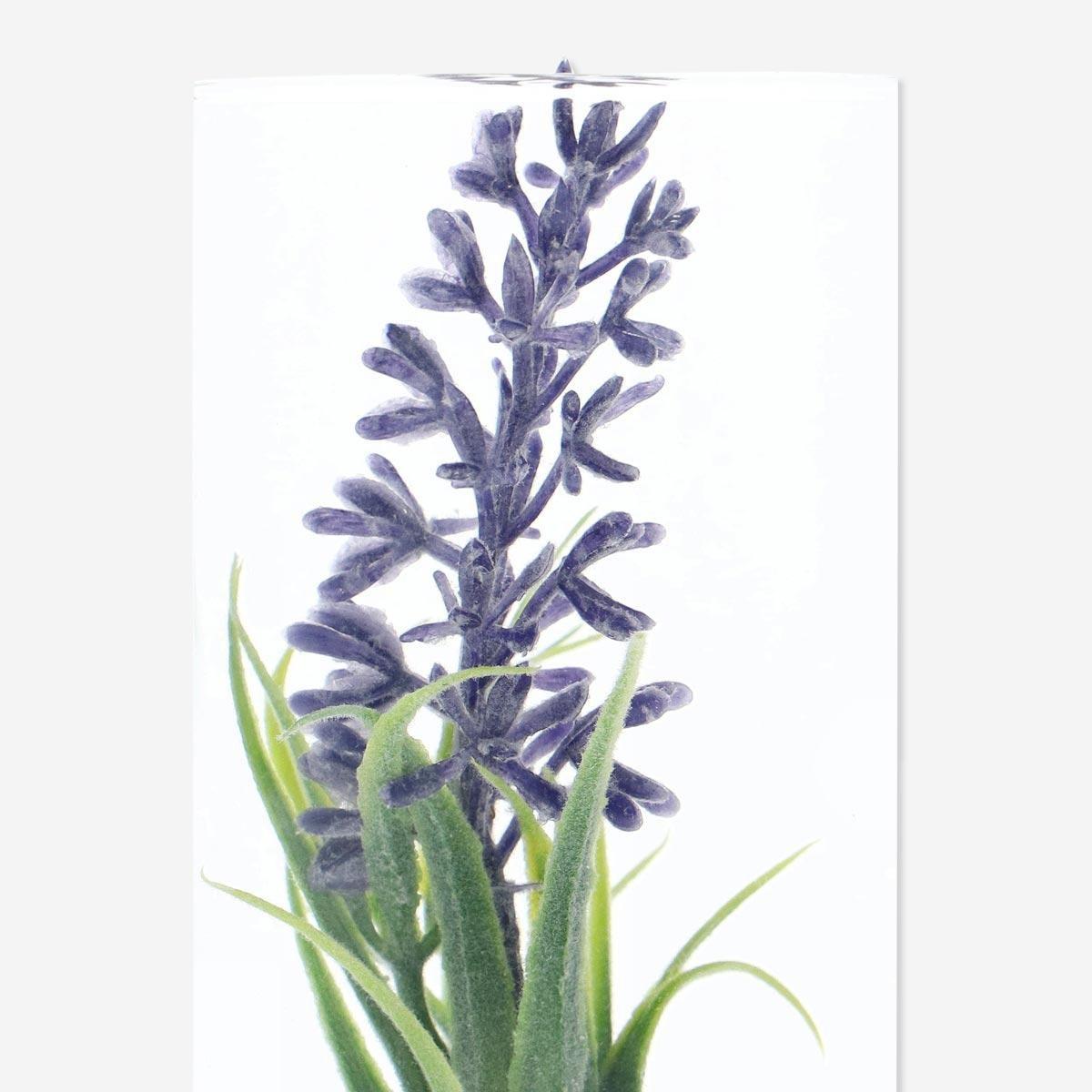 Purple decorative terrarium