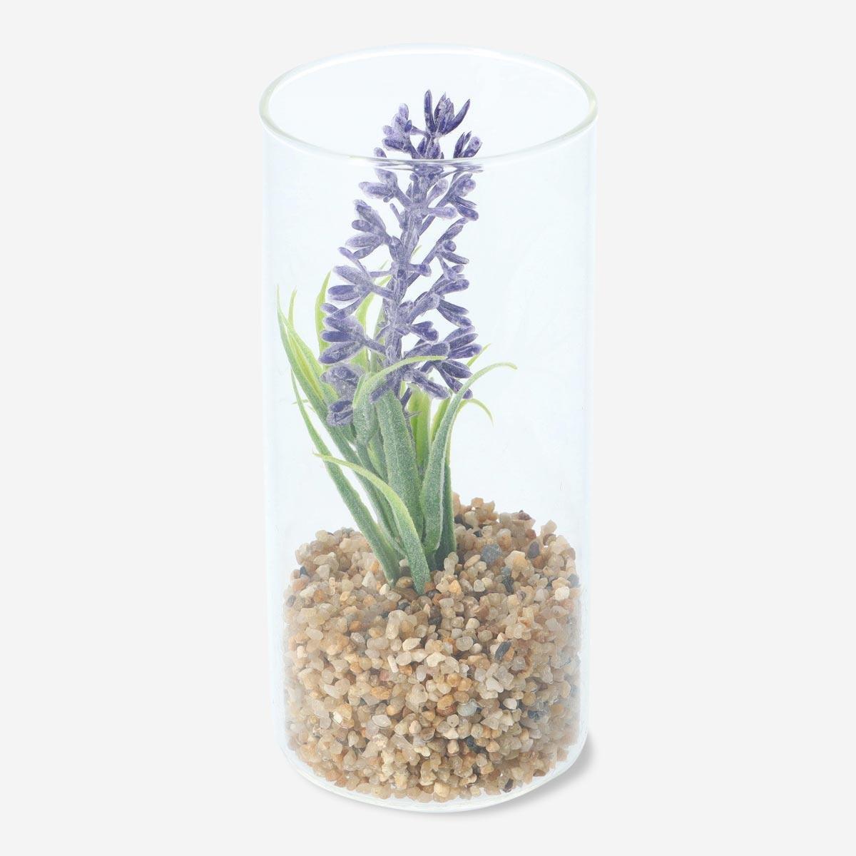 Purple decorative terrarium