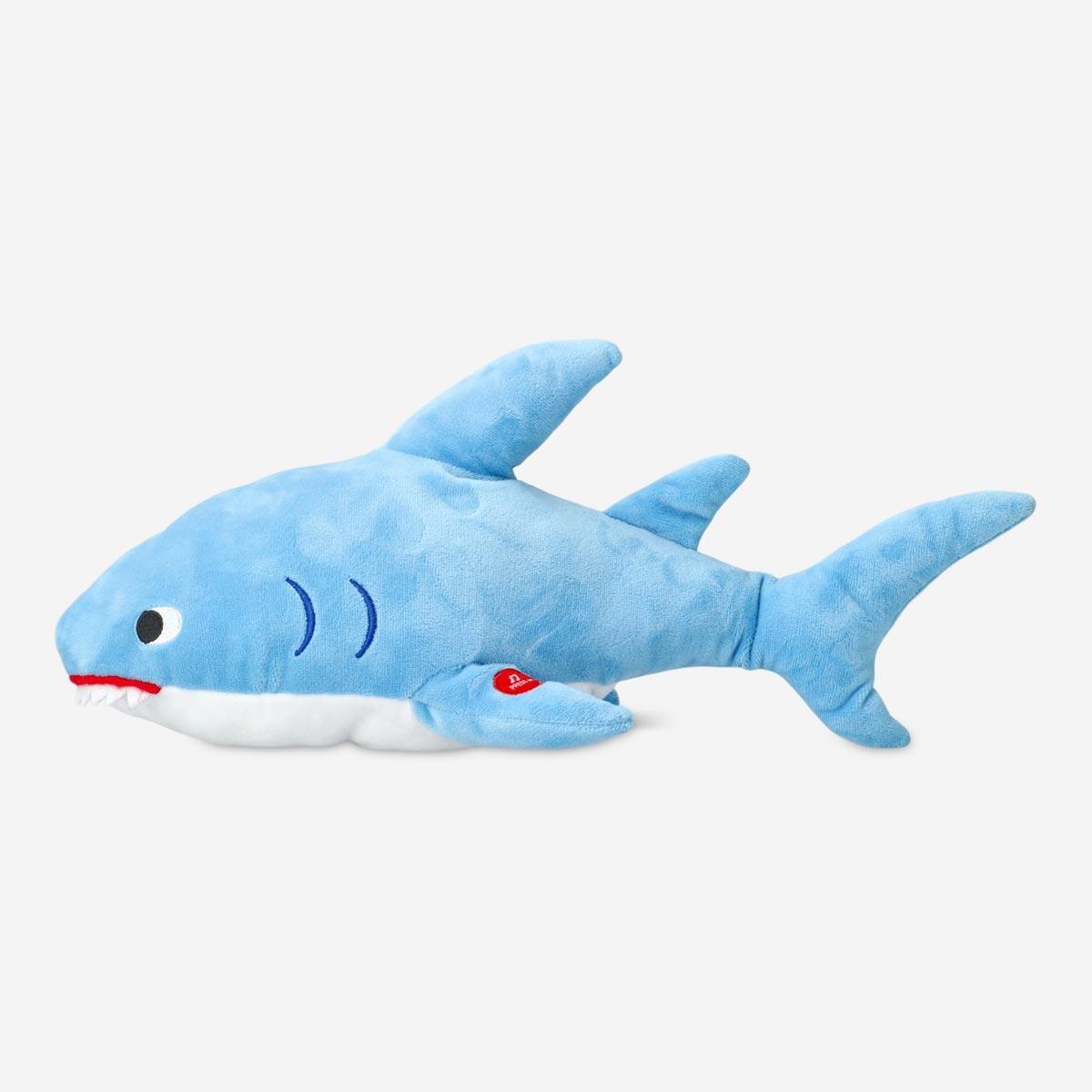 Blue Talkative Shark