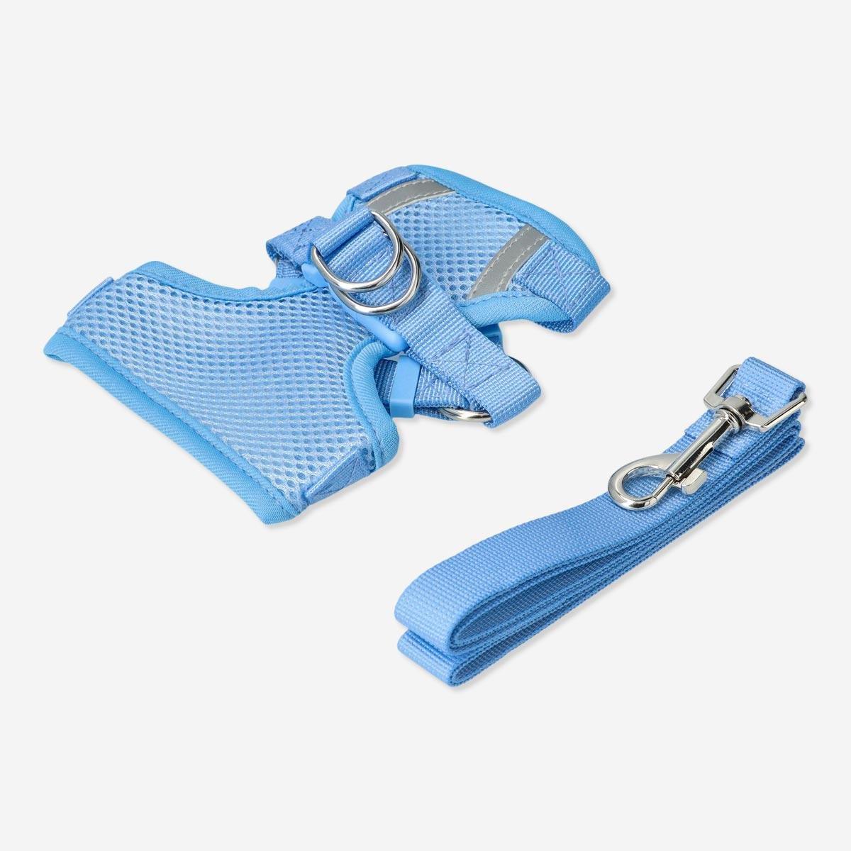 Blue pet harness with lead