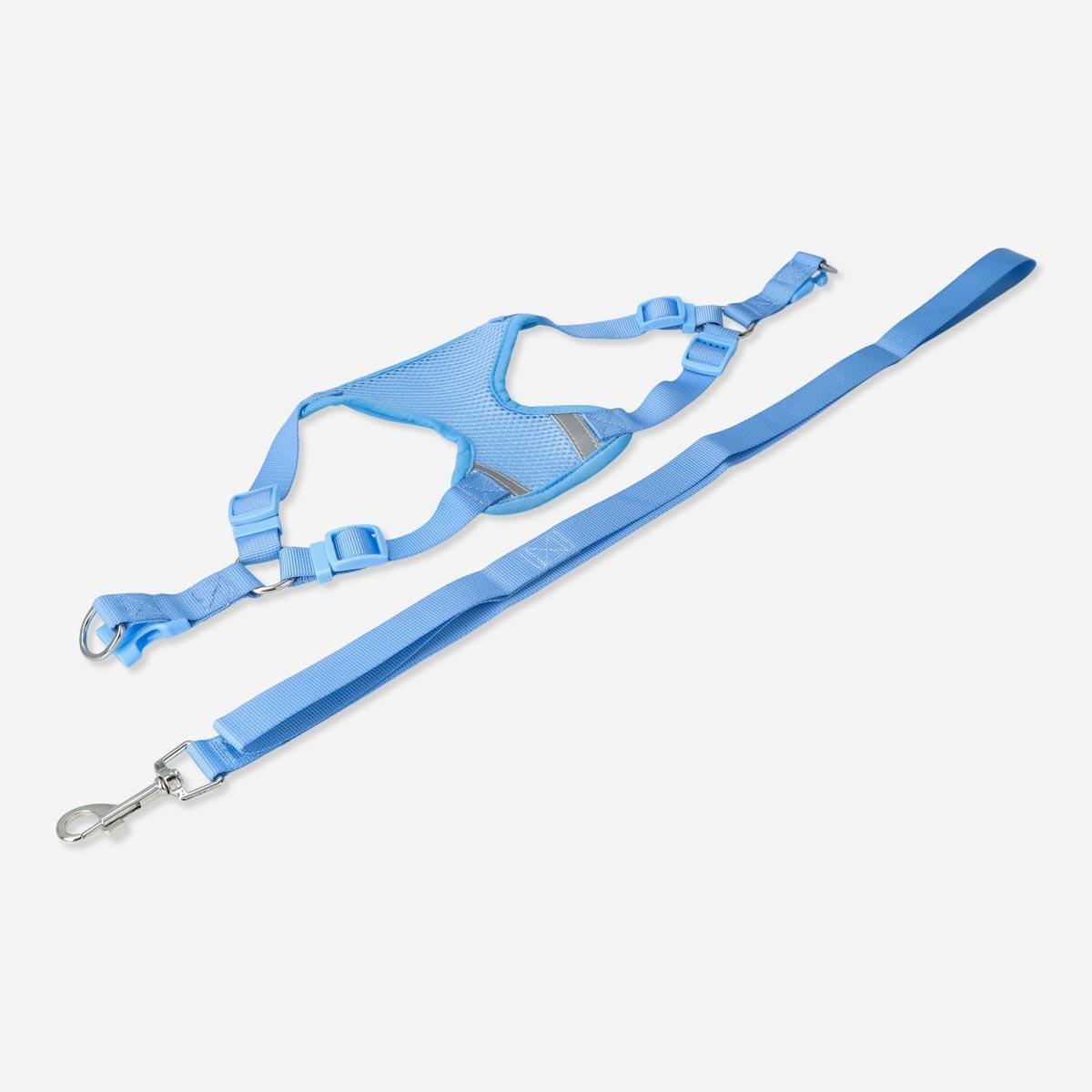 Blue pet harness with lead