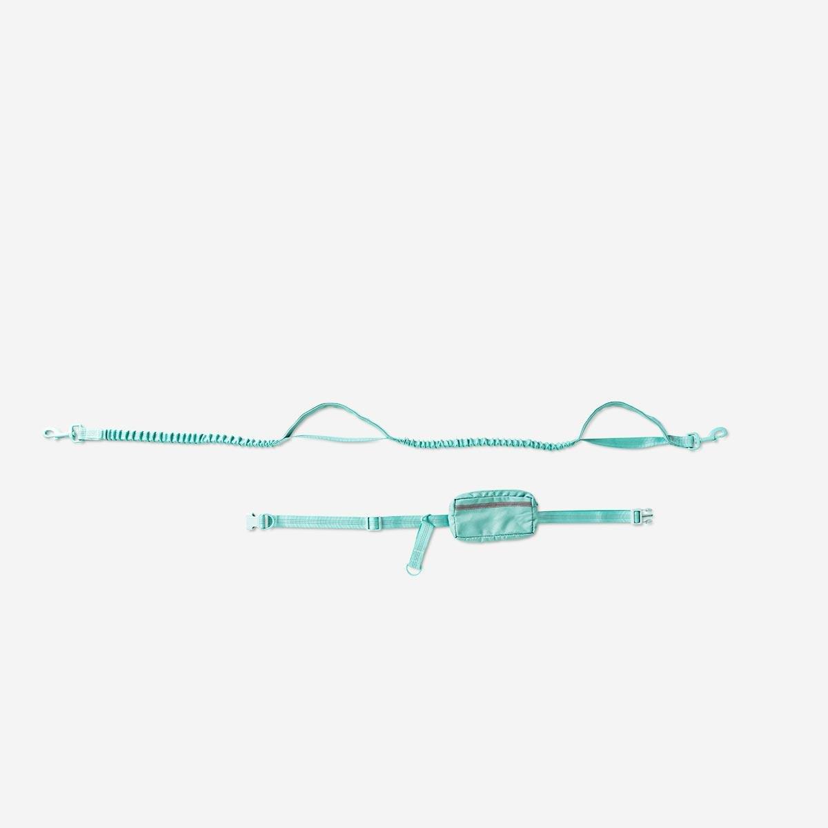 Mint dog lead for running. with pouch