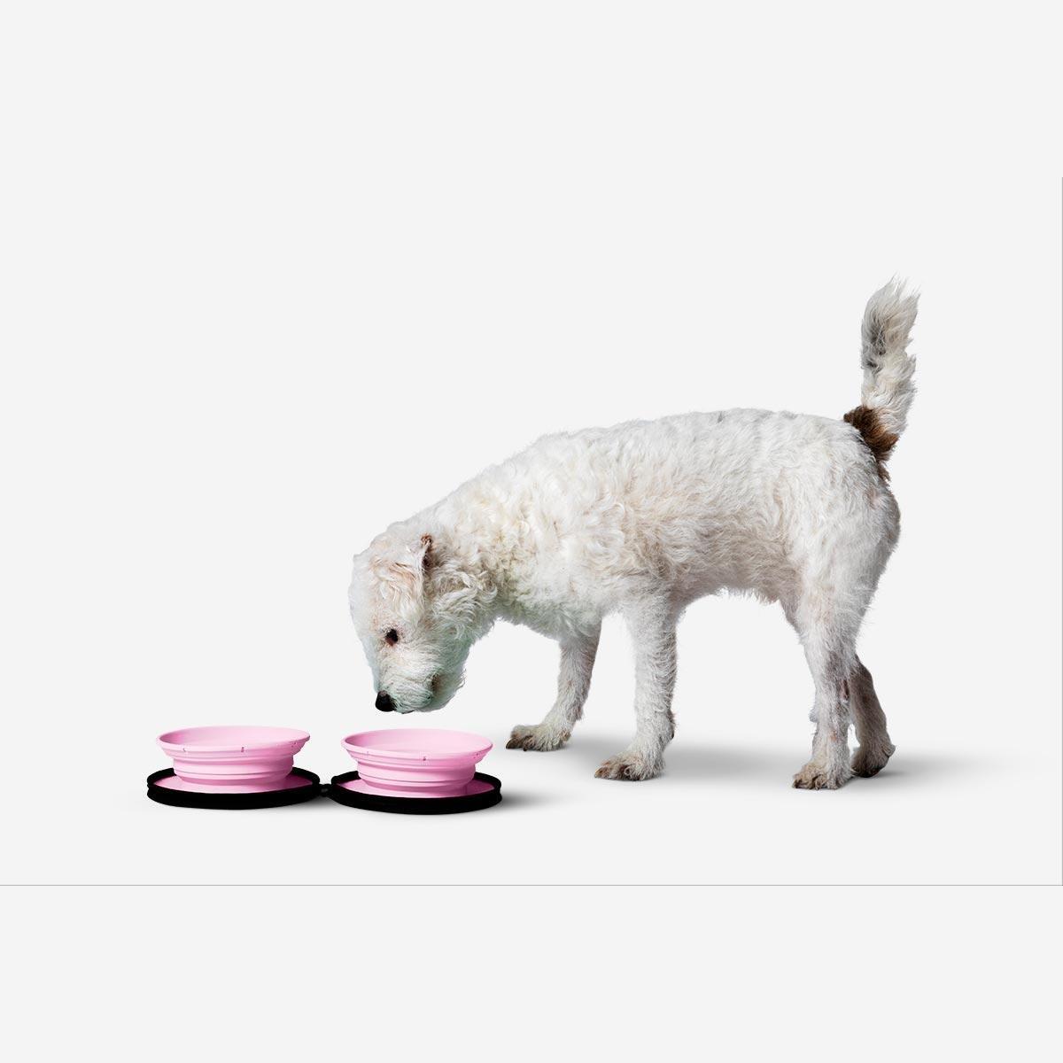 Pink pet bowls. foldable