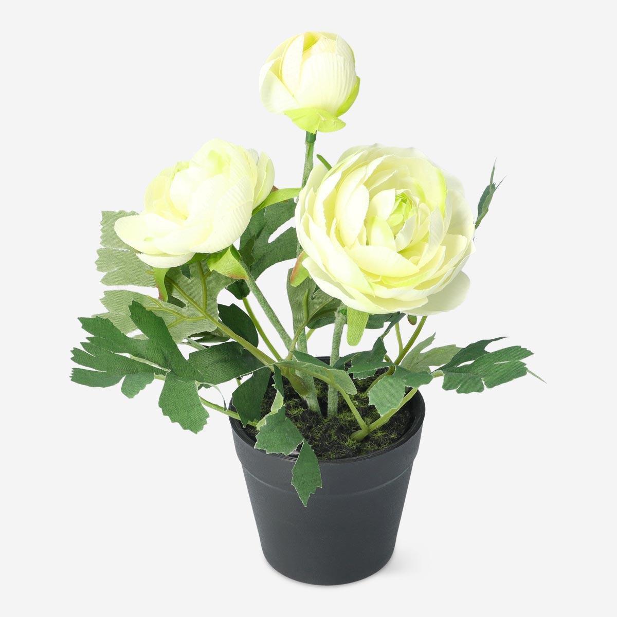 White decorative flower