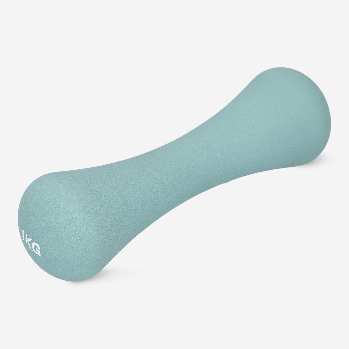 Green dumbbell. 1 kg