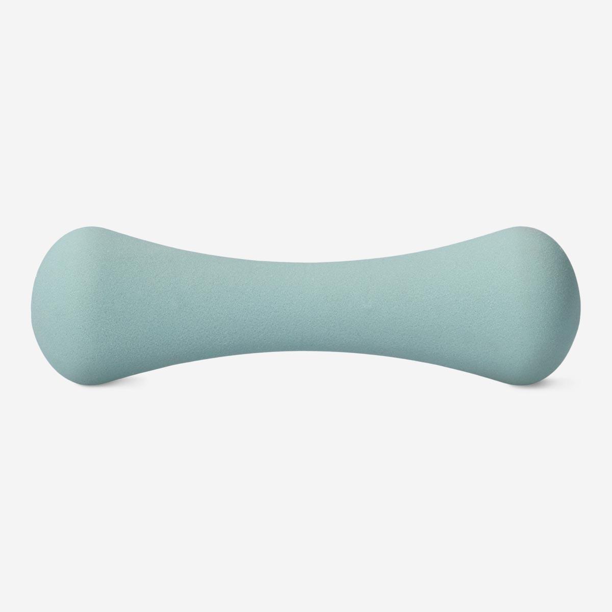 Green dumbbell. 1 kg