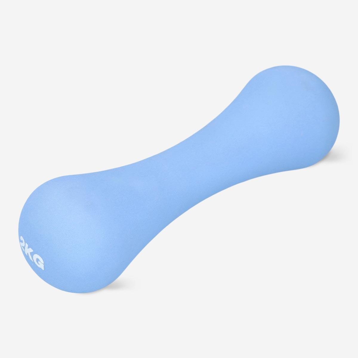 Blue dumbbell. 2 kg
