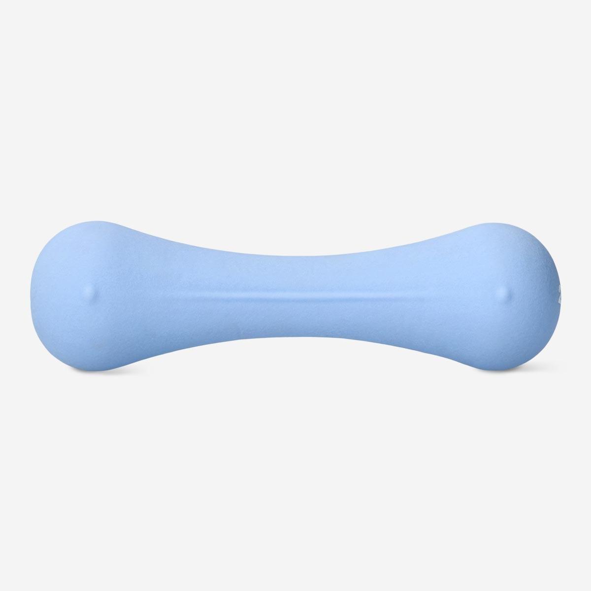 Blue dumbbell. 2 kg