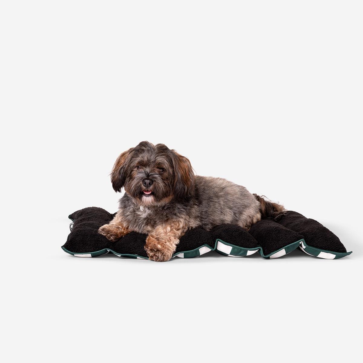 Multicolour Pet Bed. Foldable