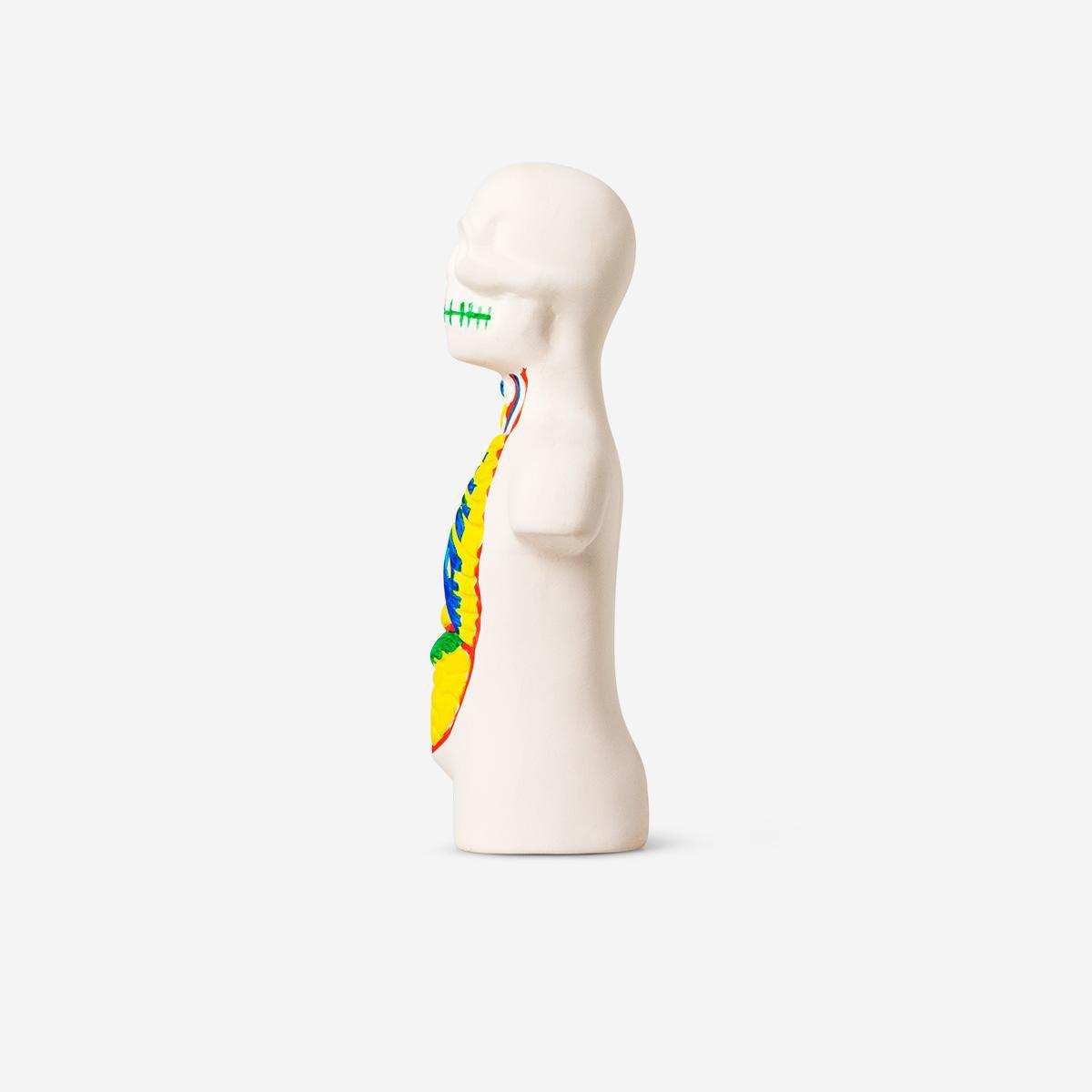 Multicolour Paint-Your-Own Torso