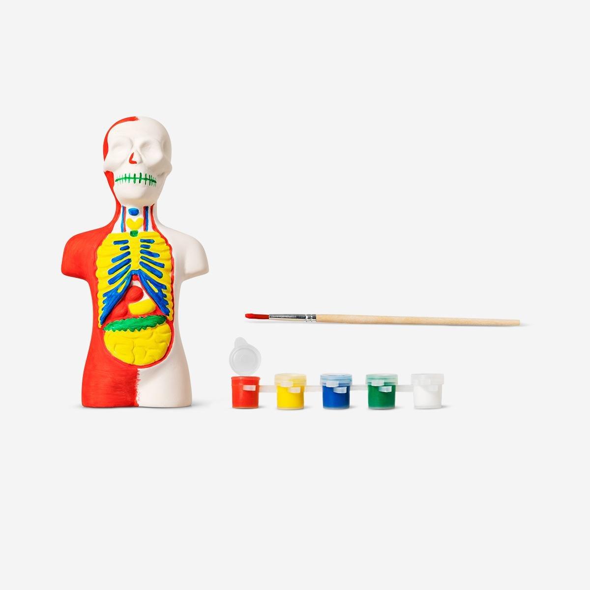 Multicolour Paint-Your-Own Torso