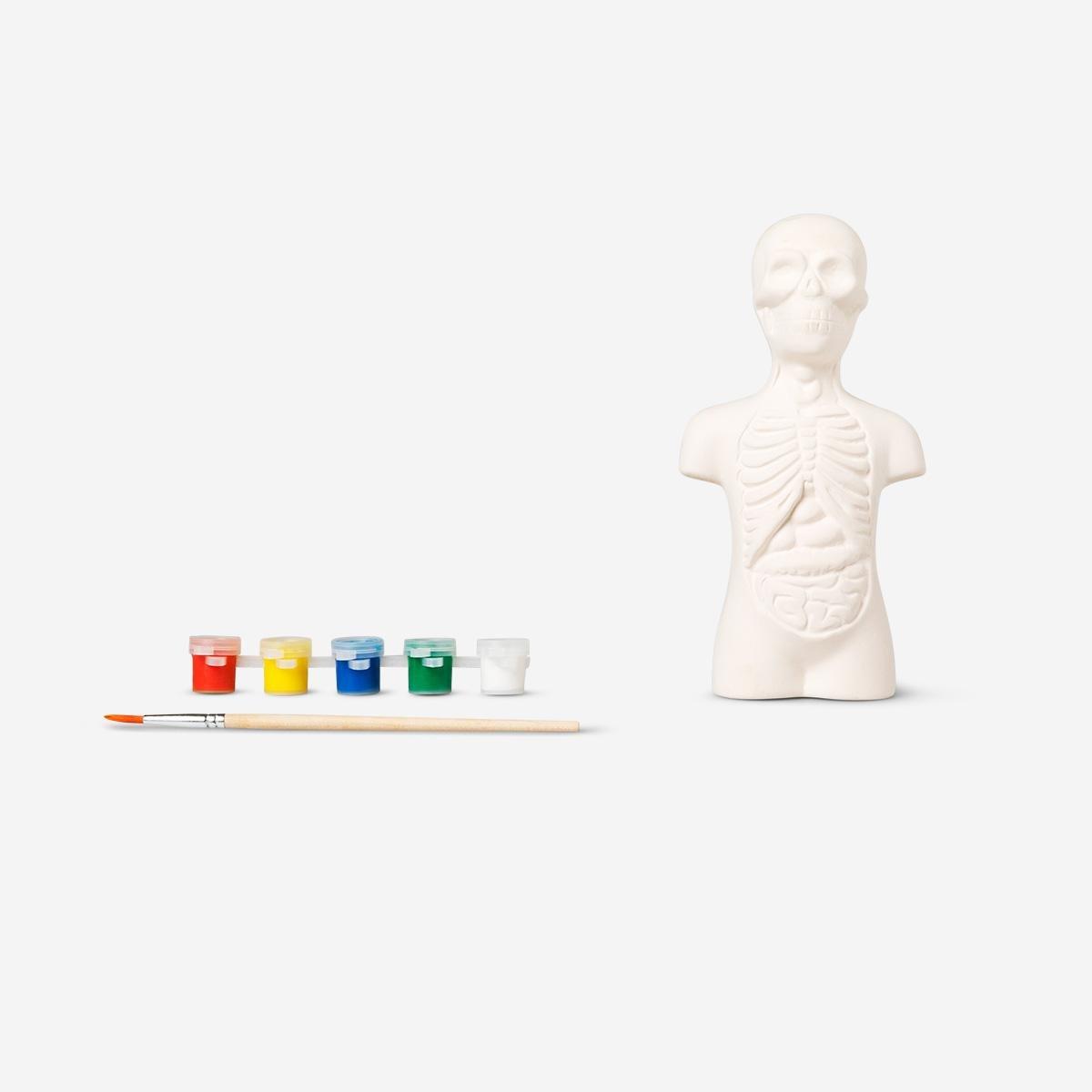 Multicolour Paint-Your-Own Torso