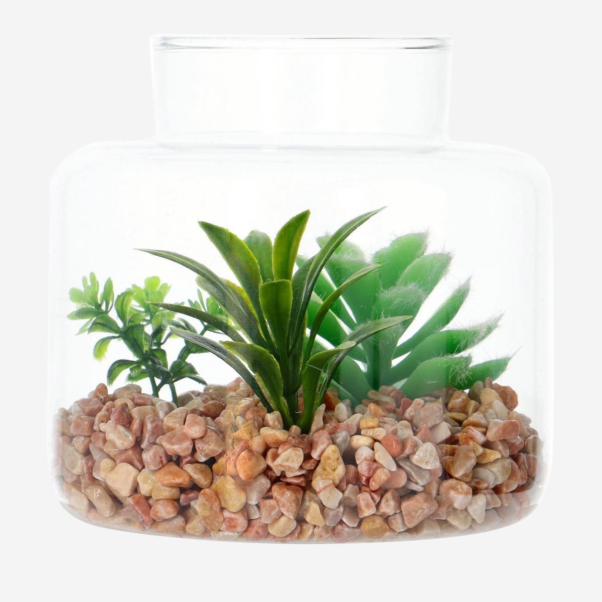 MULTI      Decorative terrarium