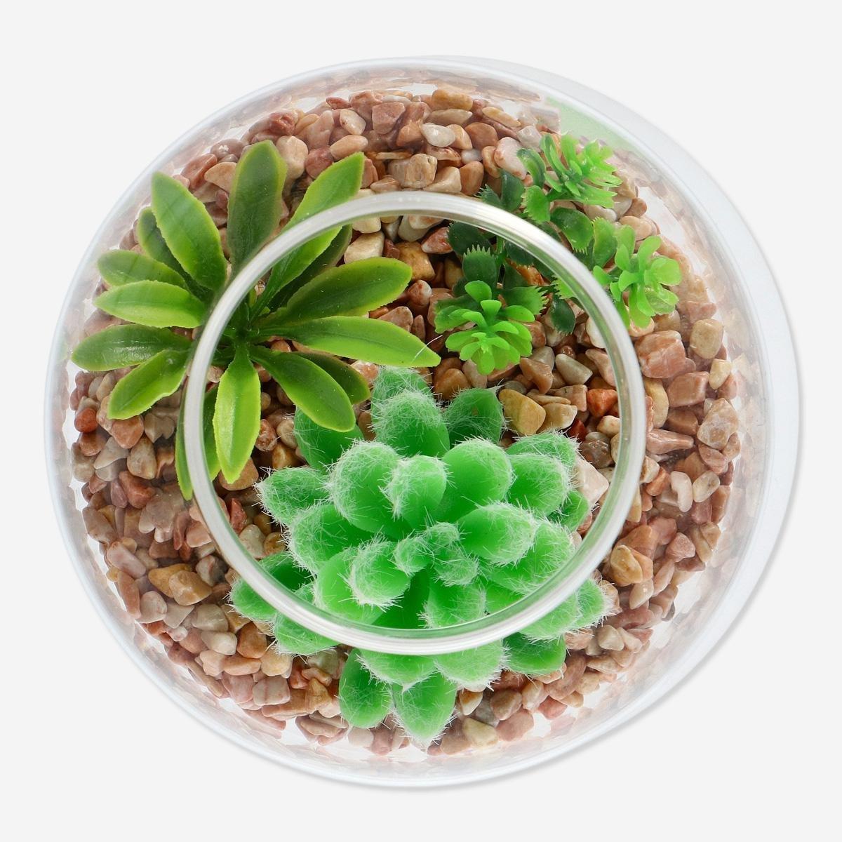 MULTI      Decorative terrarium
