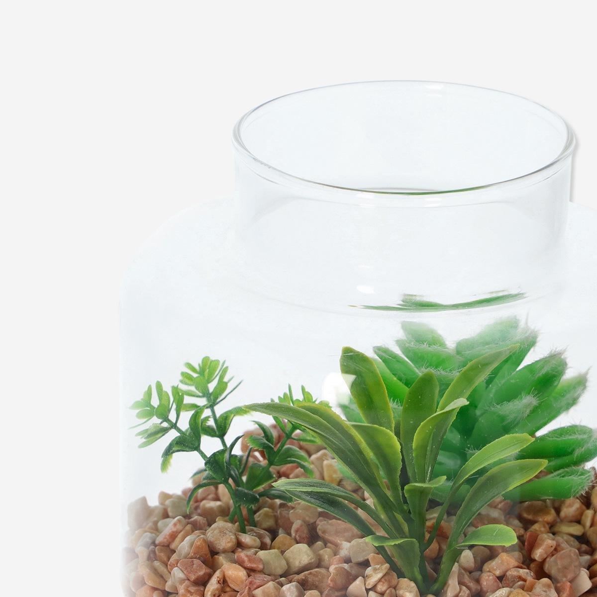 MULTI      Decorative terrarium