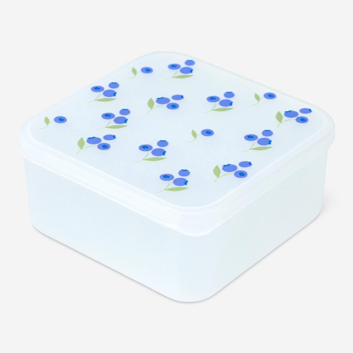 Blue snack box. large