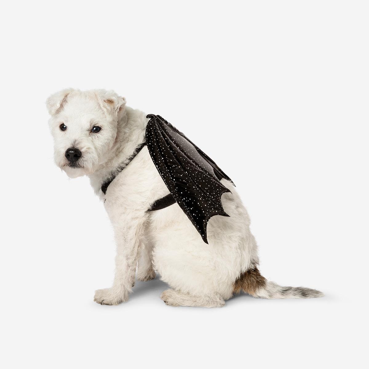 Black costume. for pets