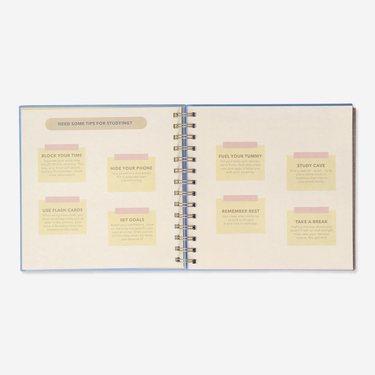Multicolour study planner