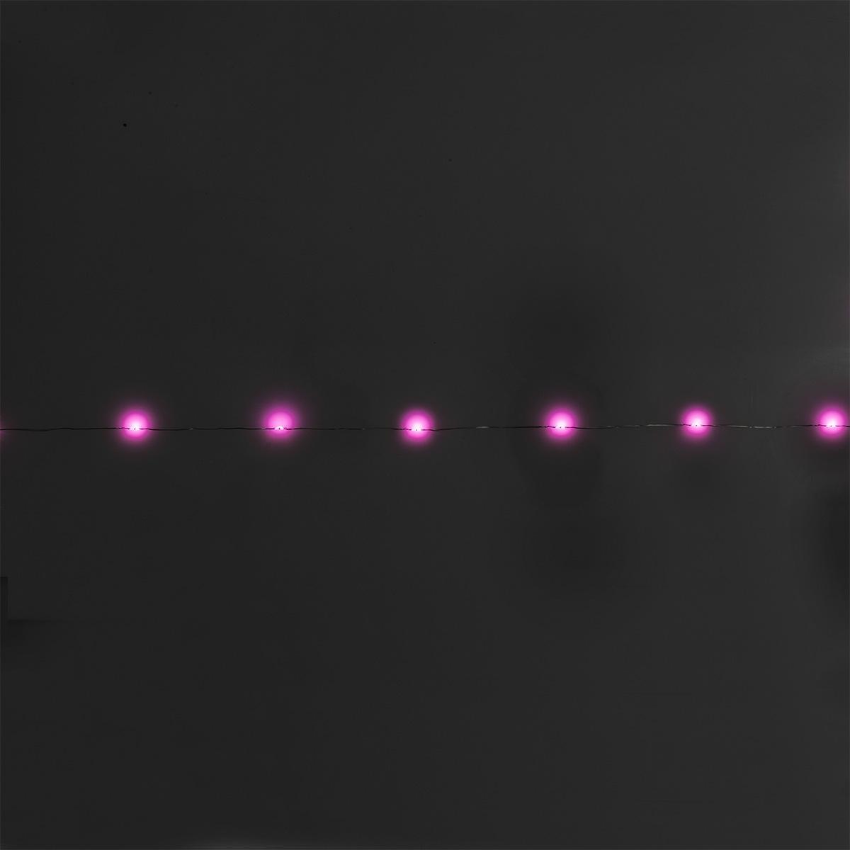 pink string lights