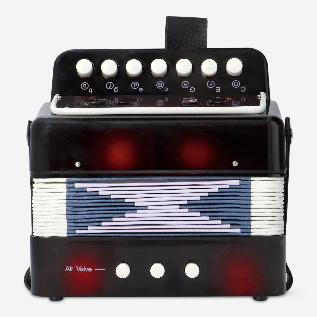 Black acoustic accordion
