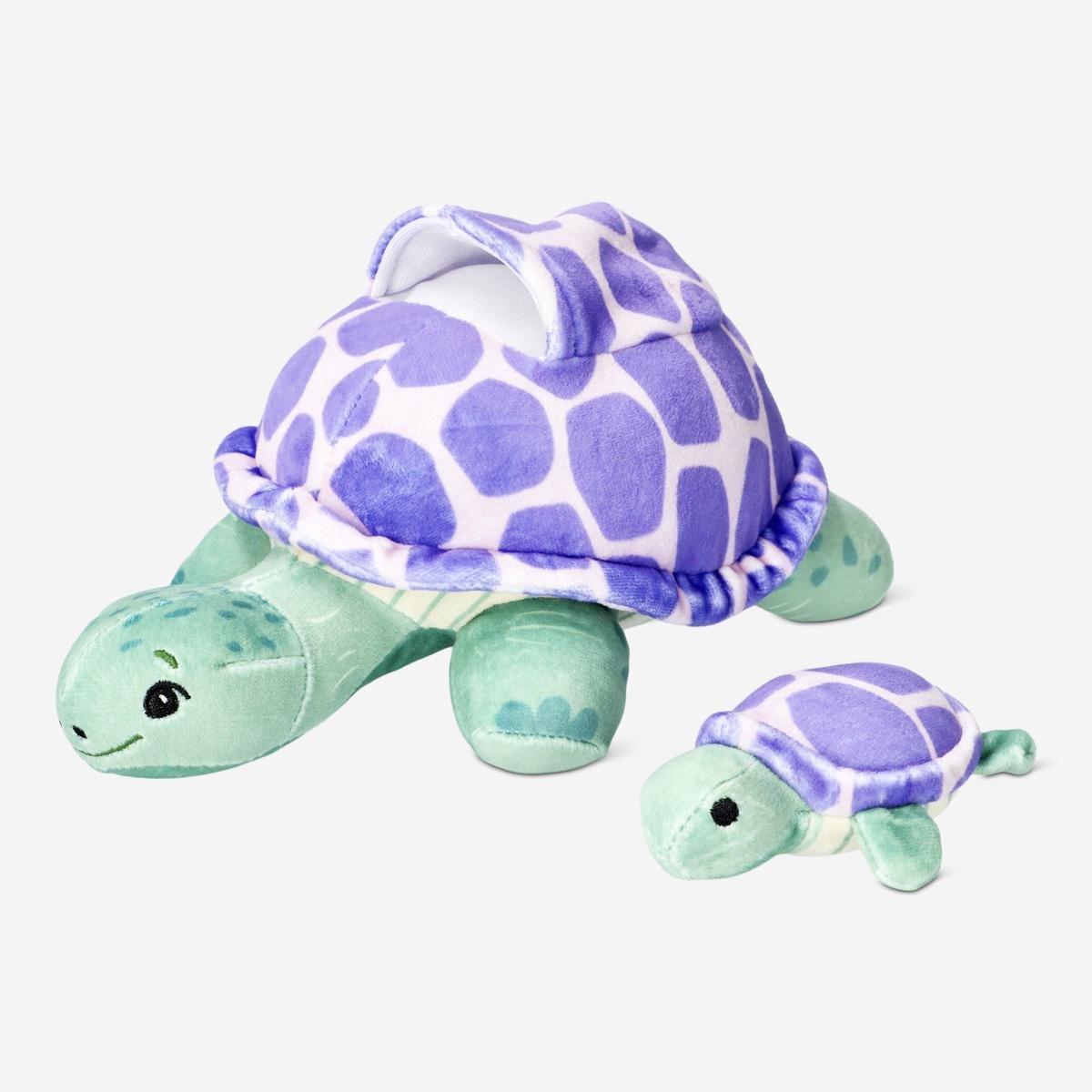 Multicolour turtle with hatchling