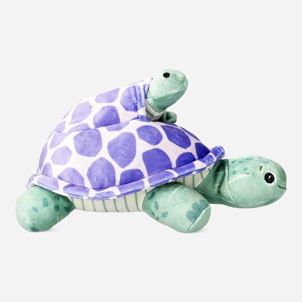 Multicolour turtle with hatchling