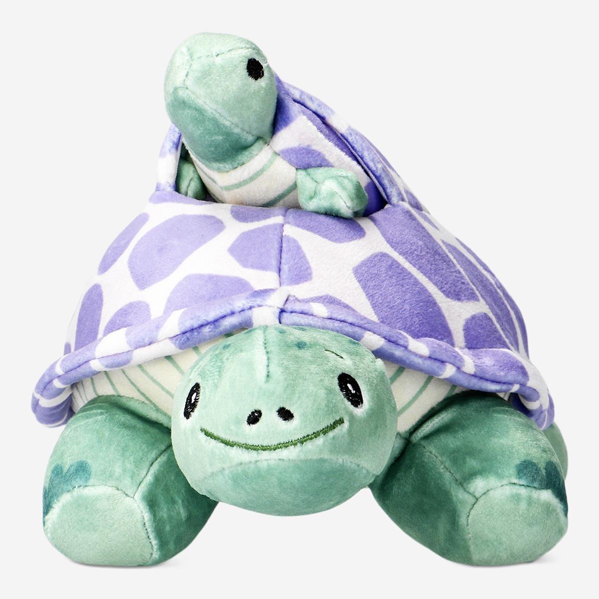 Multicolour turtle with hatchling