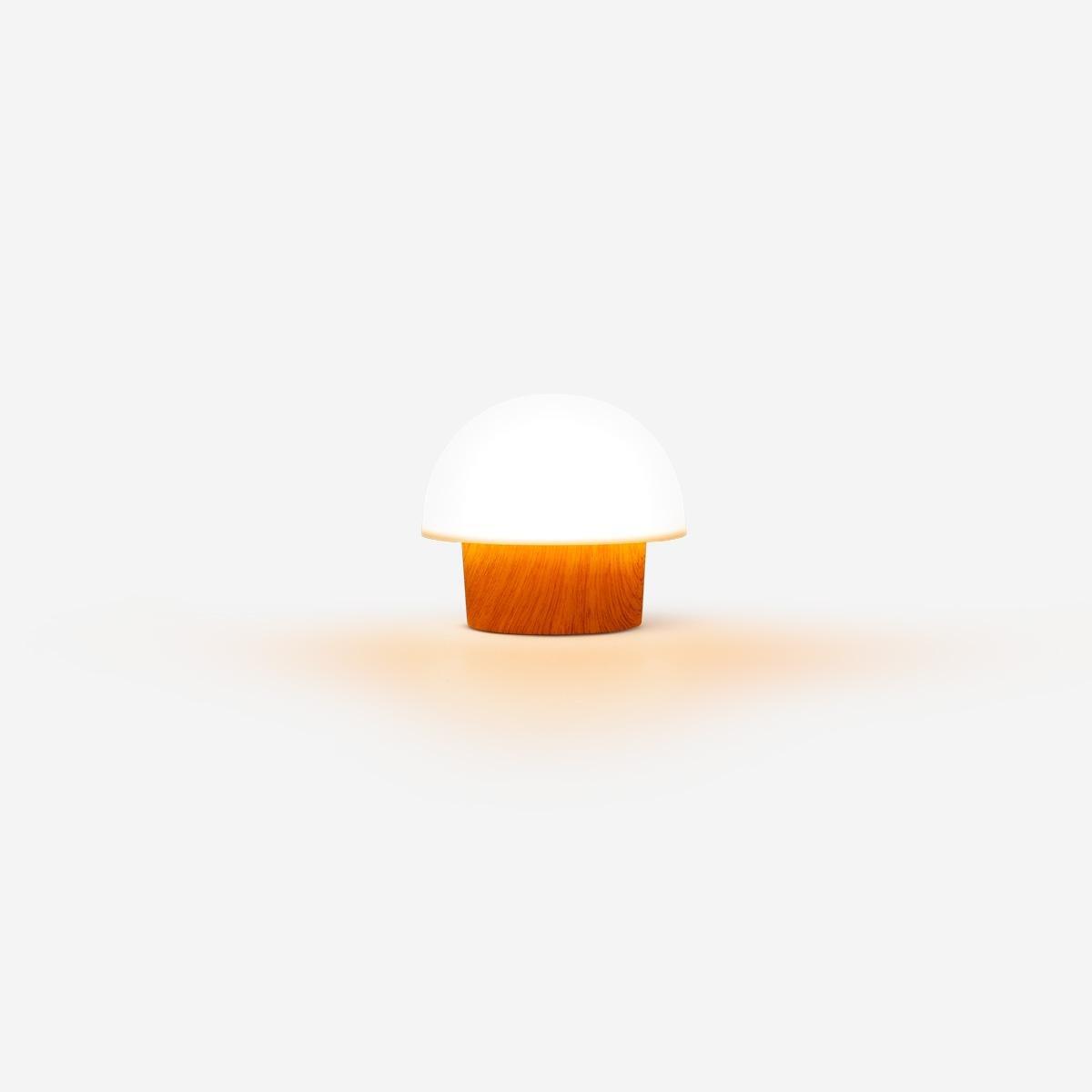 WHITE      Cosy lamp