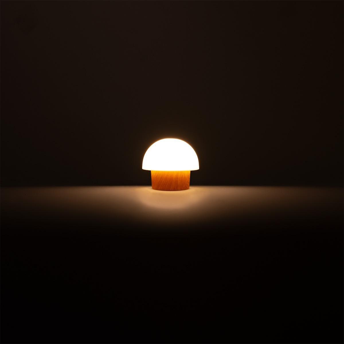 WHITE      Cosy lamp