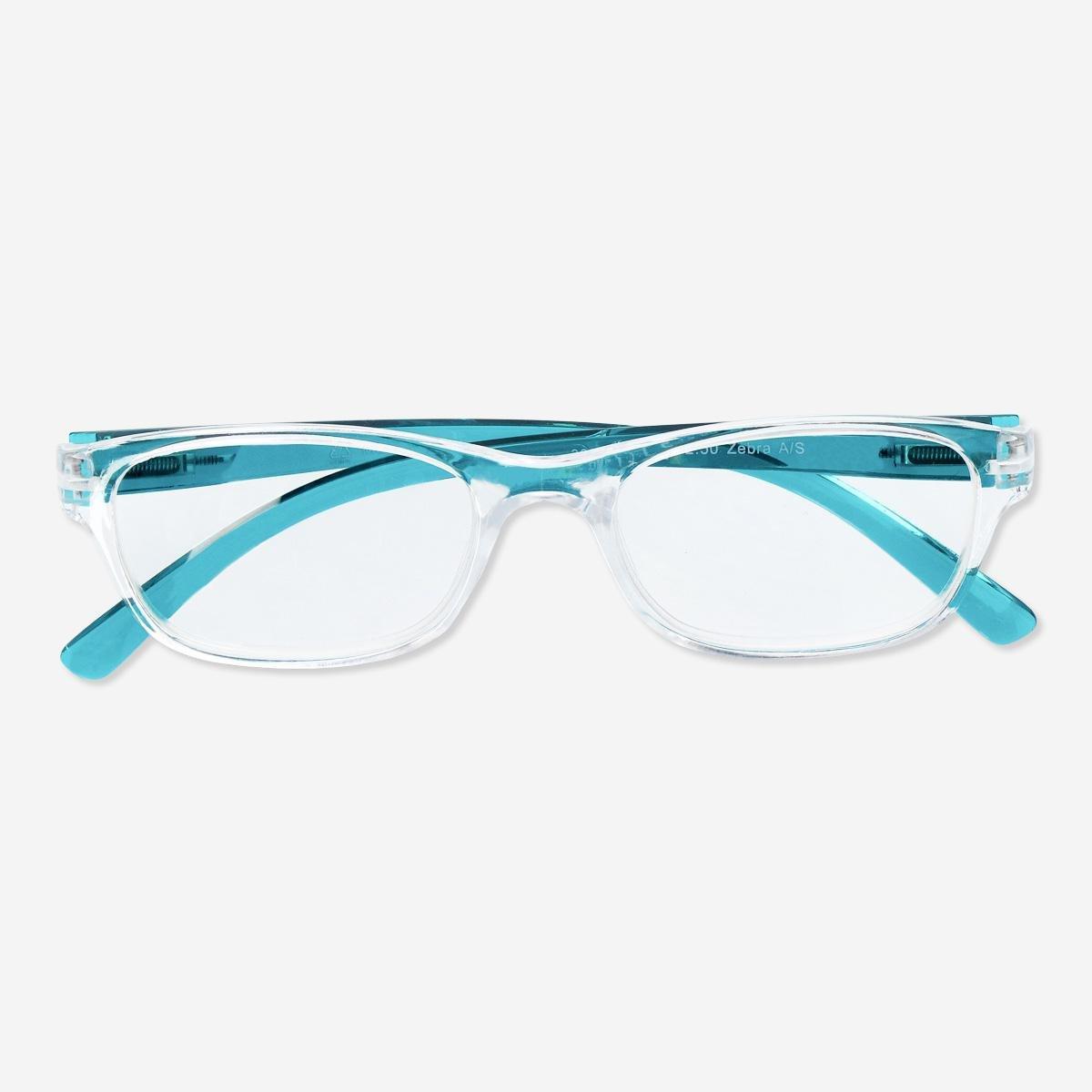 Blue Reading glasses. +1.5