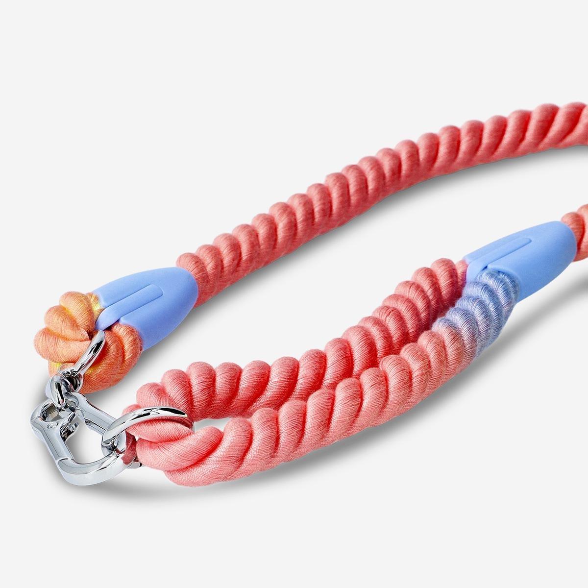 Gradient pet leash