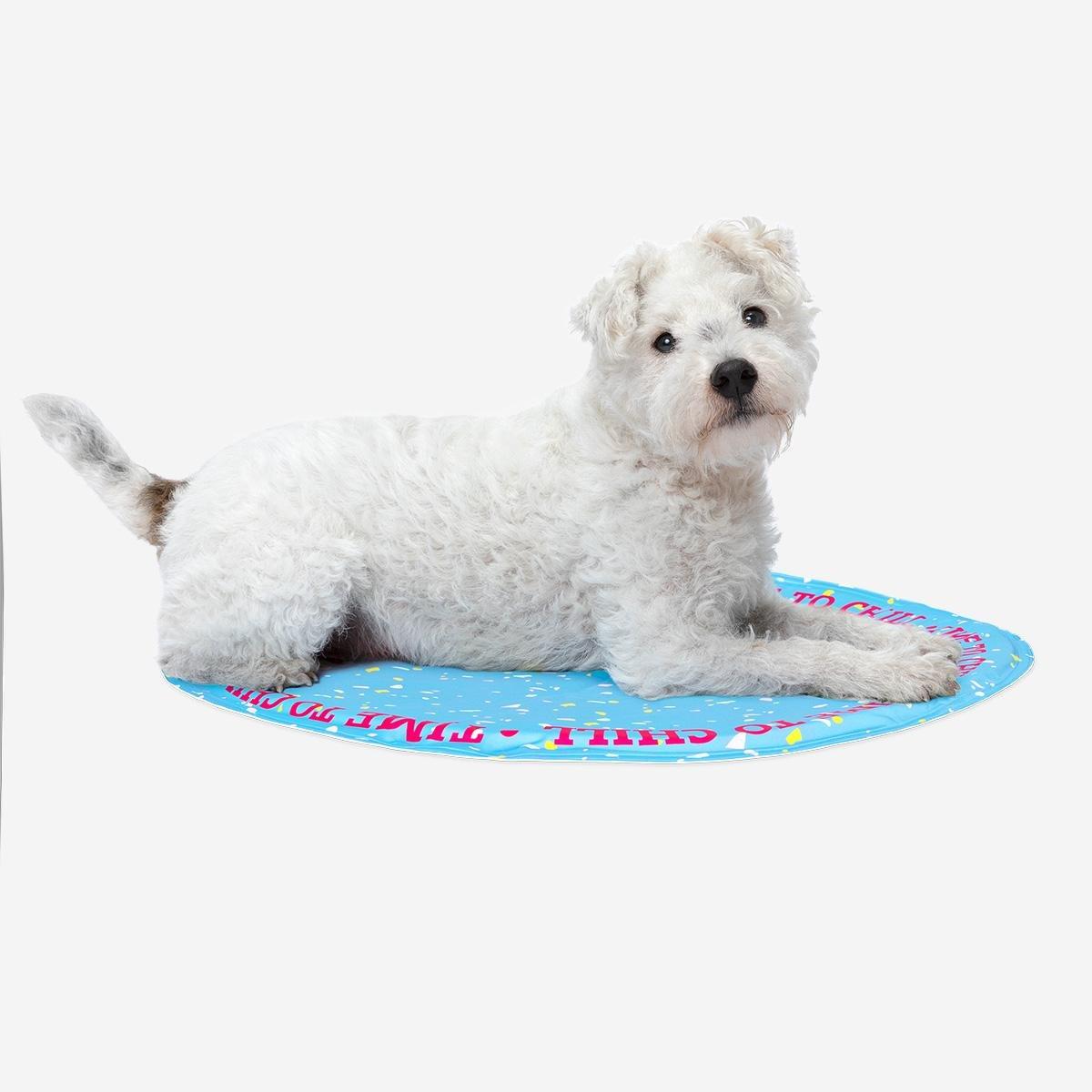 Blue mat for pets
