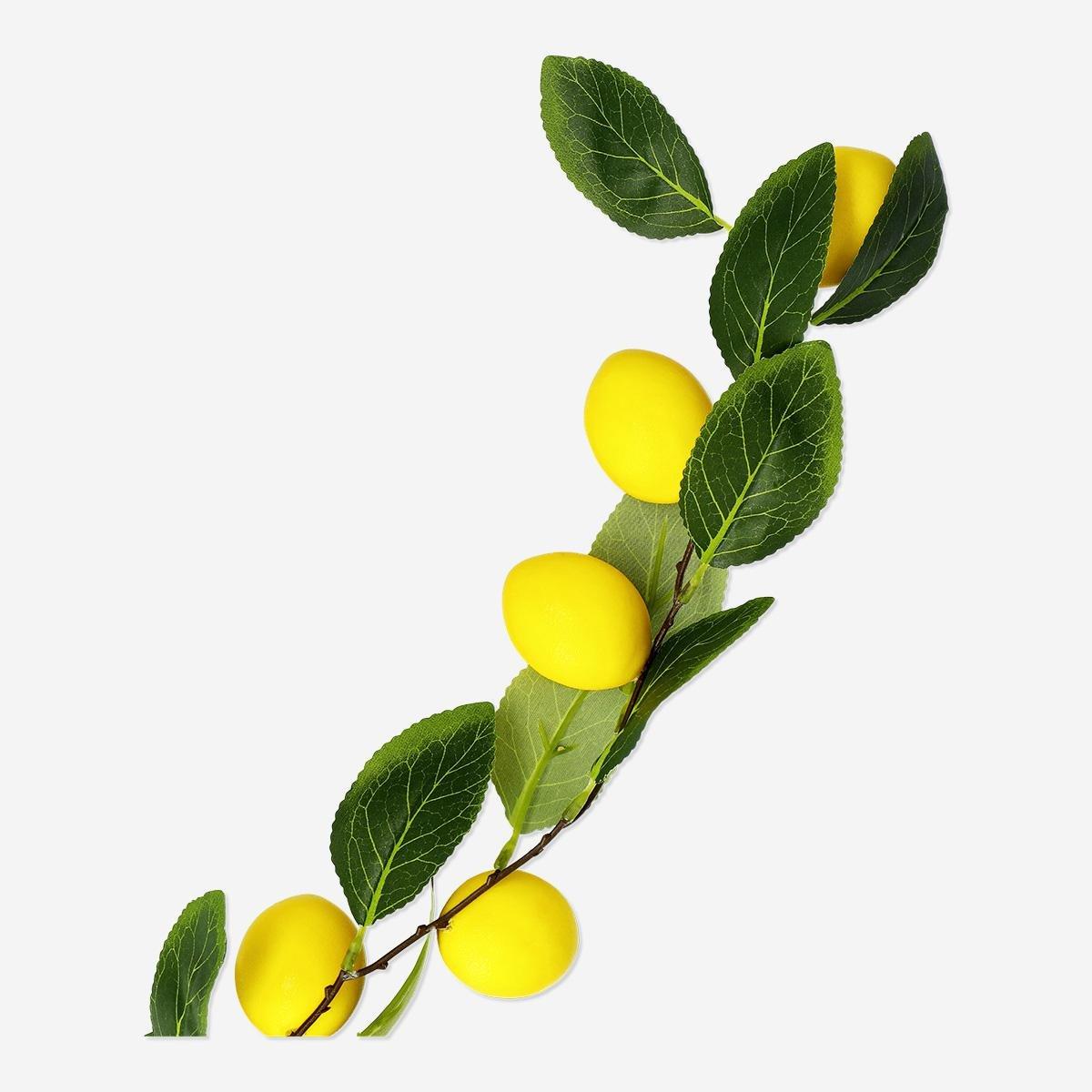 Multicolour Decorative Lemons