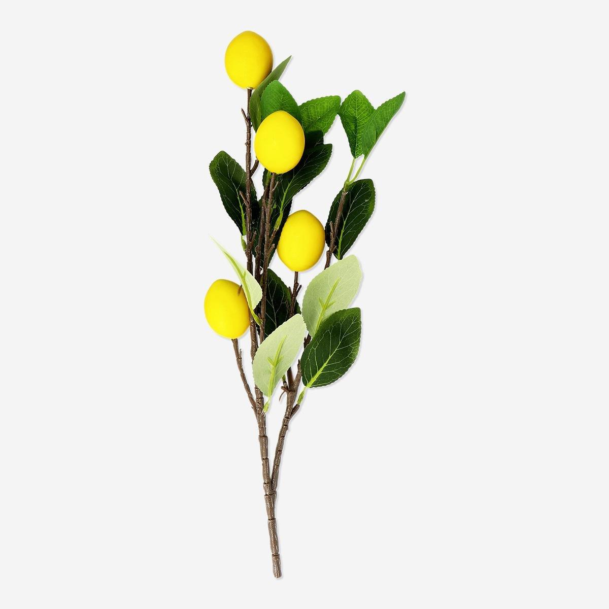 Multicolour Decorative Lemons