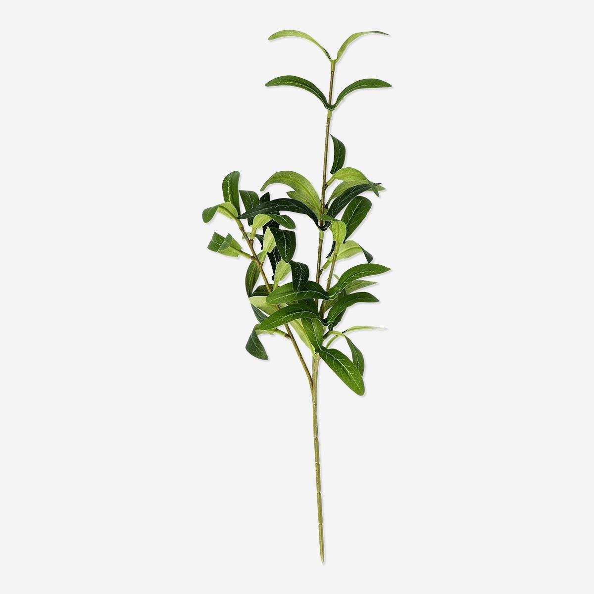 Green Decorative Branch