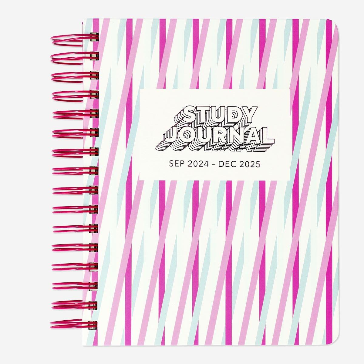 Multicolour striped study planner