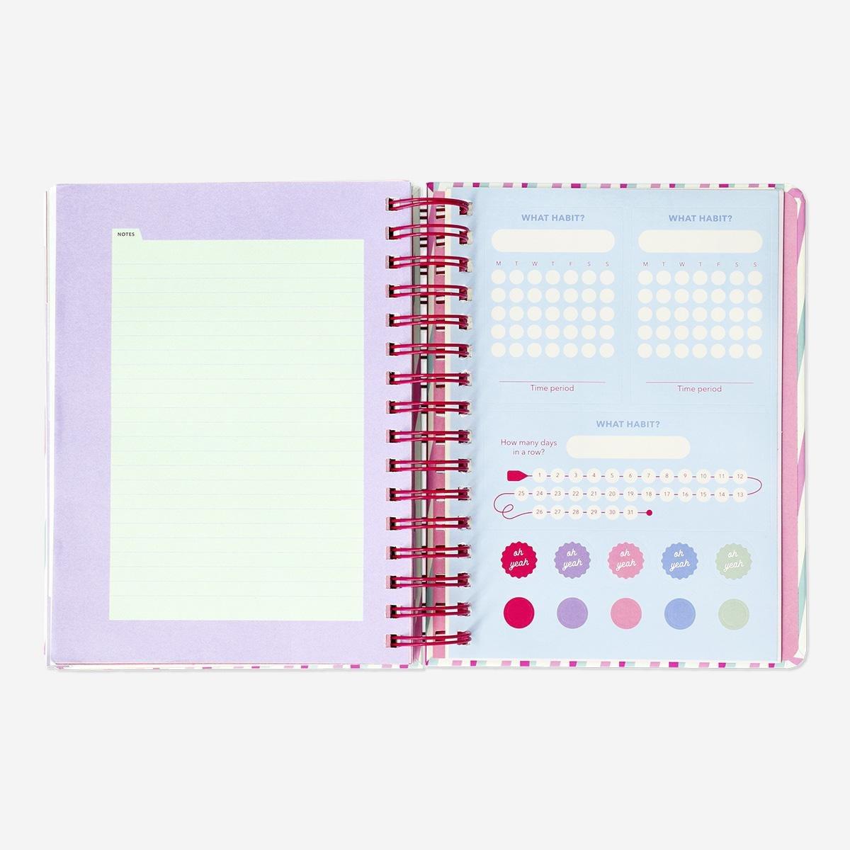 Multicolour striped study planner