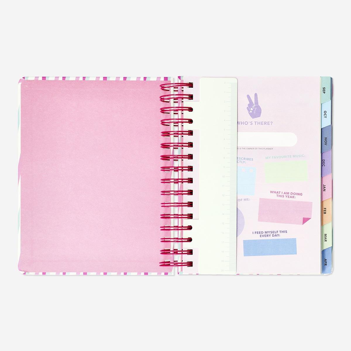 Multicolour striped study planner