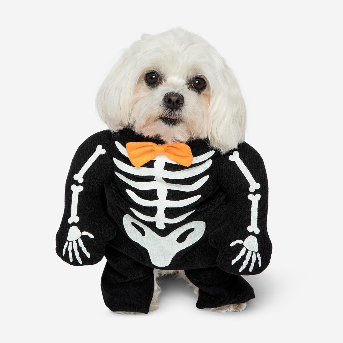 Black Skeleton Pet Costume