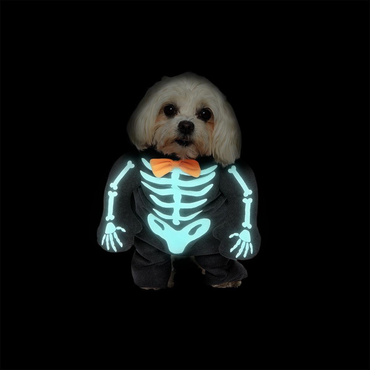 Black Skeleton Pet Costume