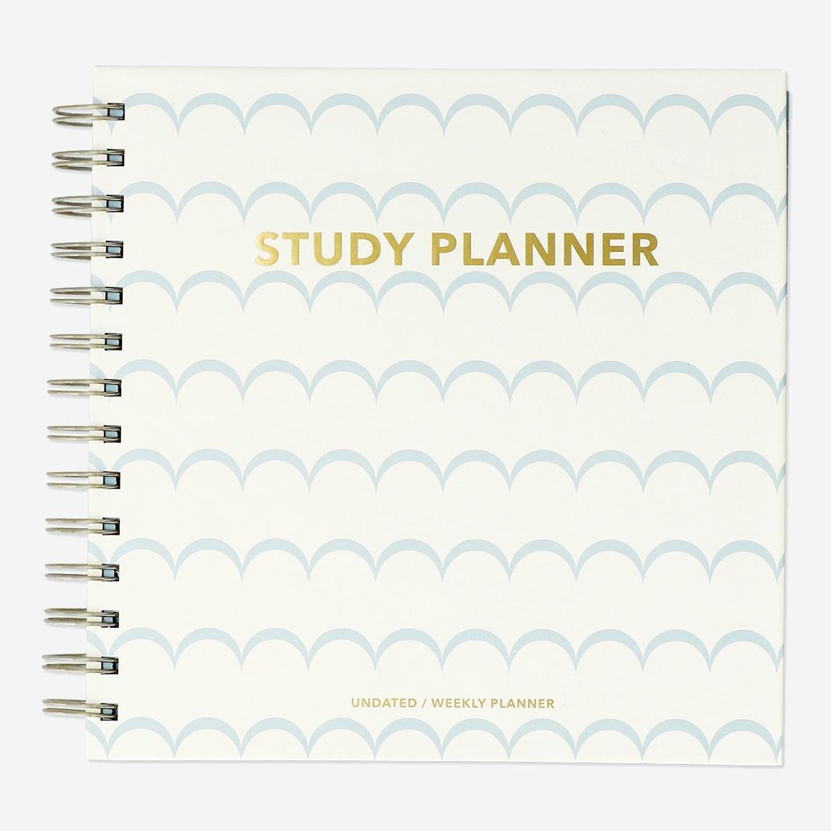 Multicolour scalloped study planner