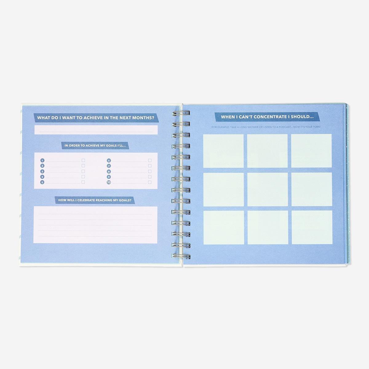 Multicolour scalloped study planner