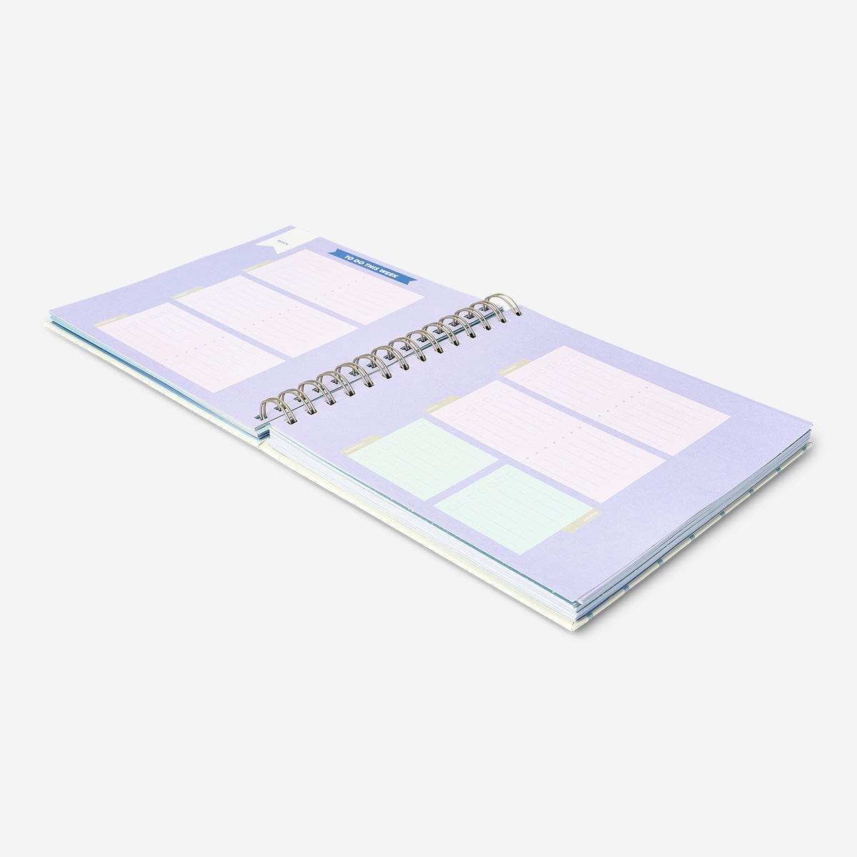 Multicolour scalloped study planner