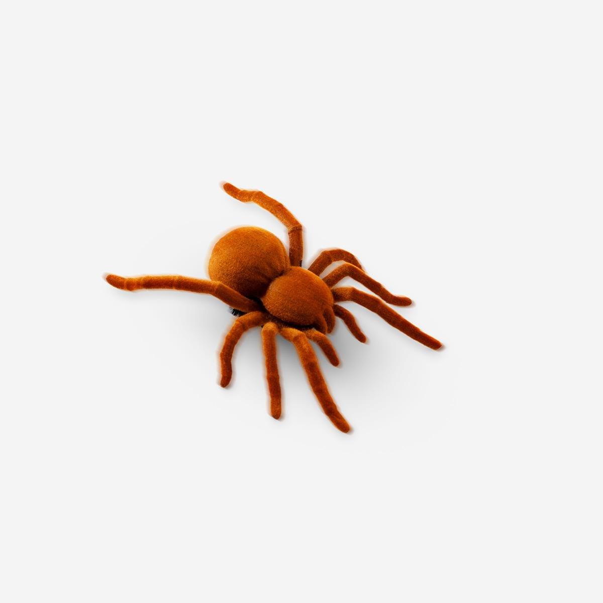 Red Moving Spider