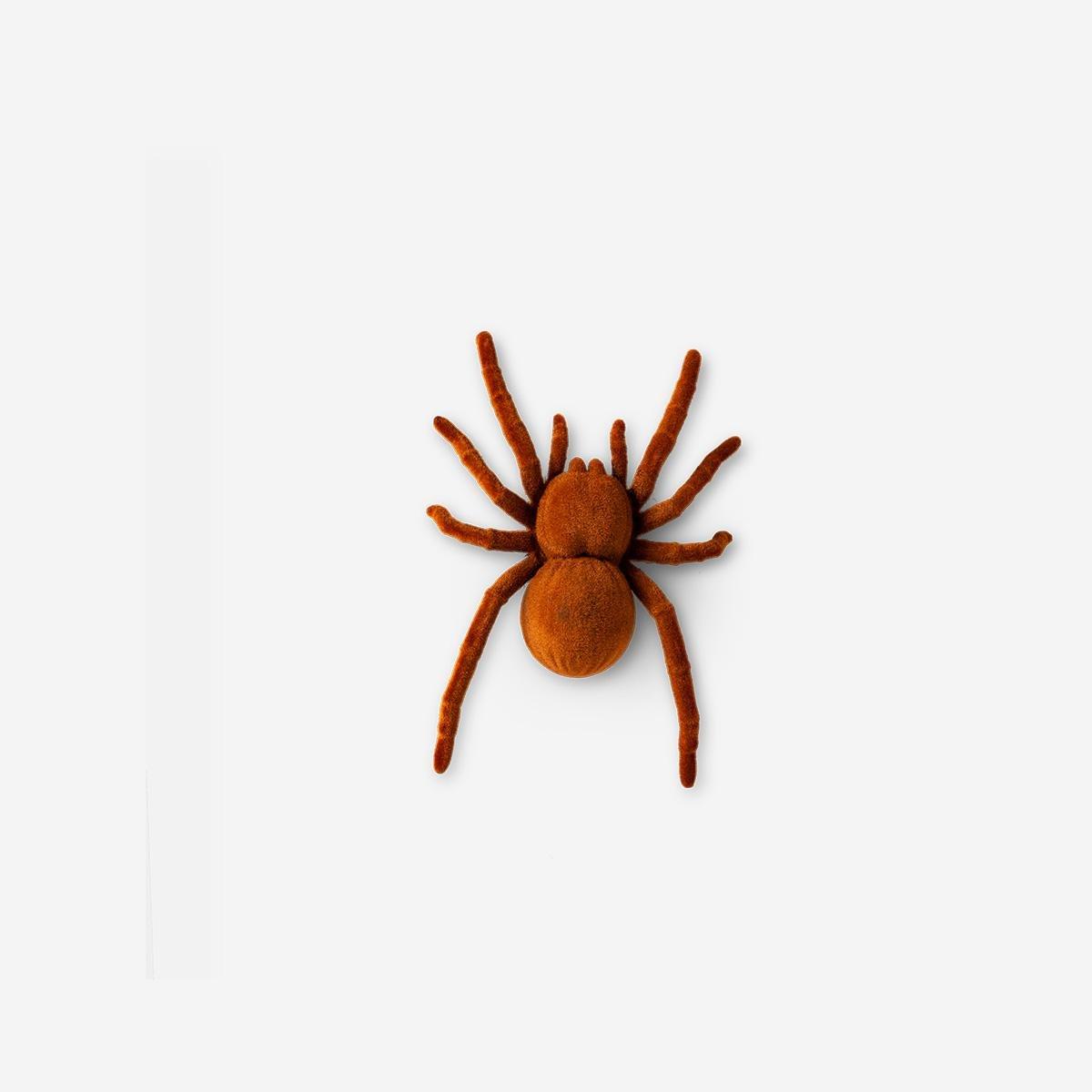 Red Moving Spider