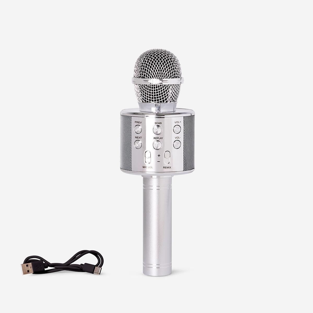 Silver Karaoke Microphone